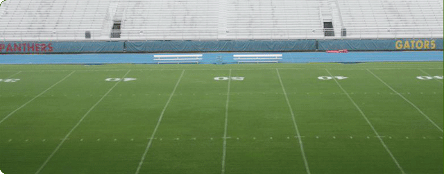 Pristine athletic field turf — professional football field maintenance